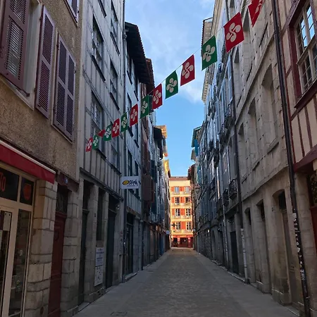 Lumineux Appartement Bayonne