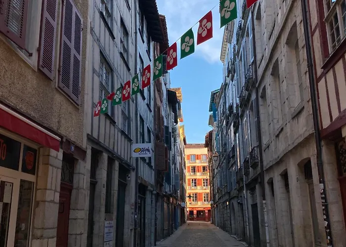 Lumineux Apartamento Bayona